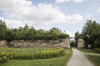 Bike tour: le Roi Soleil