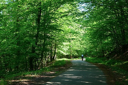 Piste cyclable transfrontalière Villé-Elzach