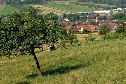 Randonnée - La Schrann