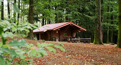 The walk to the chalet Am Saegenkopf in Lauw