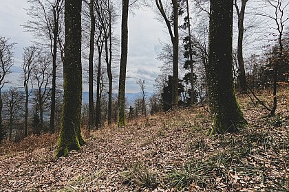 Circuit VTT de l'Ungersberg