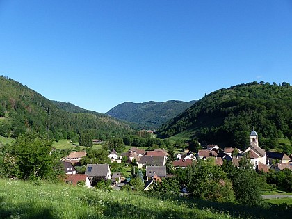 La boucle de Mollau VTT FFC n°21