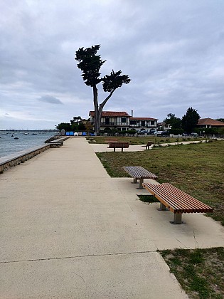 Balade à roulettes - Le Cap Ferret, de la jetée du Bélisaire vers le phare