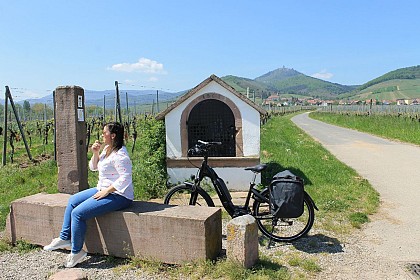 Cycle route from the Véloroute du Vignoble to the Véloroute du Rhin