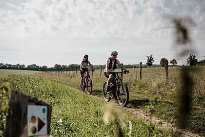 LE PIN  : le Plateau de Moyaux - 15 km D 38 m
