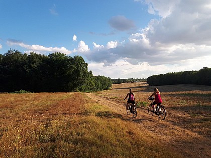 Circuit vélo : les plaines du Donziais à partir de Cosne-Cours-sur-Loire