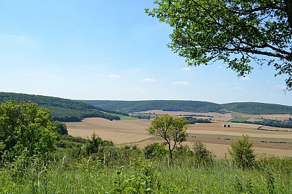 La Butte aux orchidées