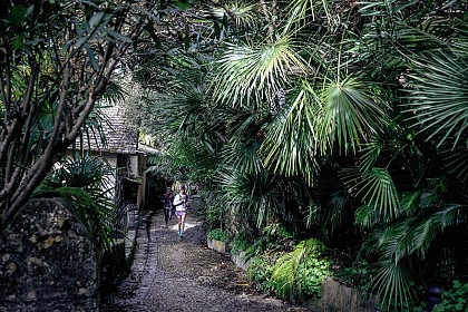 Trail de la Vallée