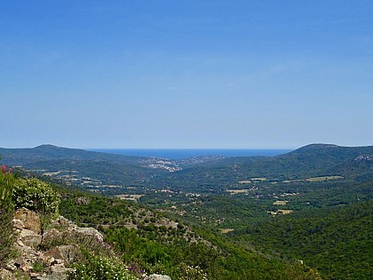 Sentier de la Garde-Freinet au Plan-de-la-Tour en passant par la Mourre