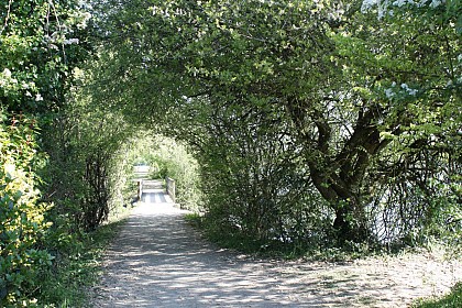 Les Hauts du Treil