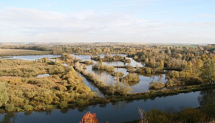 Les Anguillères
