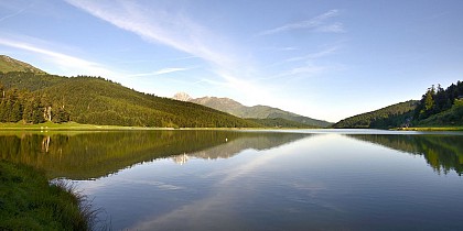 LA FORÊT DU DIFFÉREND