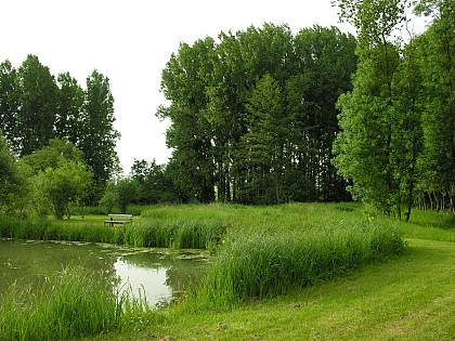 Sentier de la Rennes - Méhers