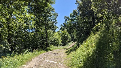 Trail - La Molière