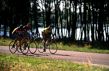 Forests, Great Lakes and Champagne