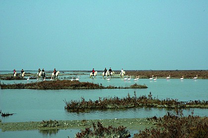 Le Vaccarès, Tour of the pond in two days