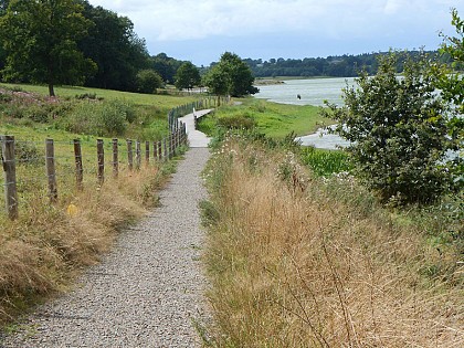 Tour du plan d'eau de Haute-Vilaine n°72