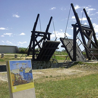 From the Van-Gogh Bridge to the Vigueirat Marshes