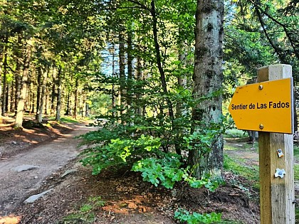 Circuit des Fées Traileuses - Trail n°41