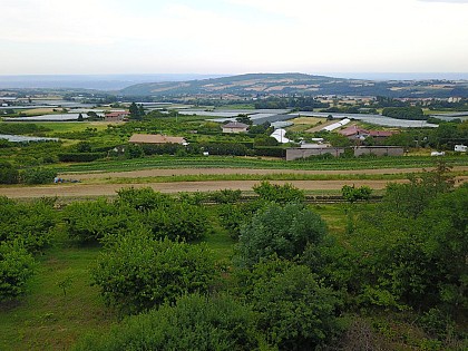 Balade panorama des Alpes et sous bois du Pilat