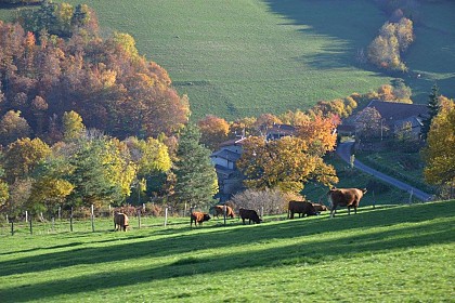 Découverte de Pélussin