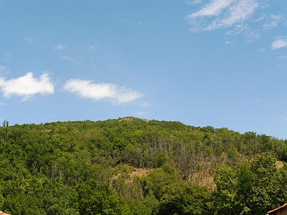 La forêt du puy Saint-Romain