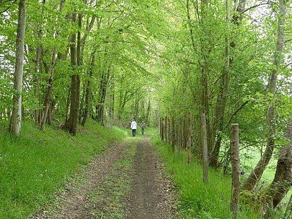 L'étang Chiot