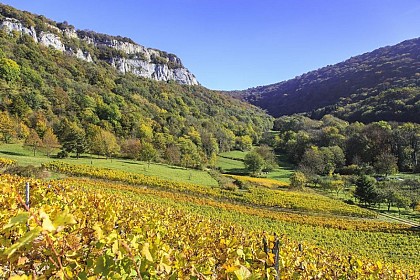 Balade à Lavigny