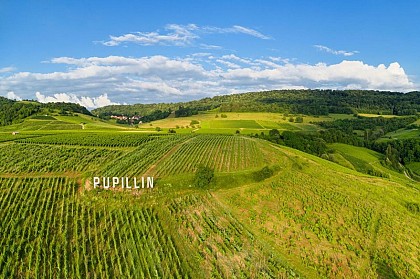 Balade à Pupillin
