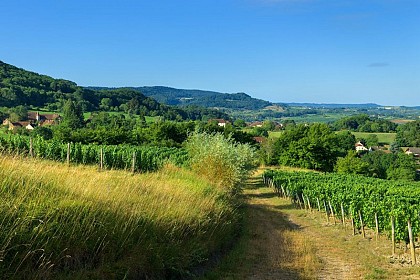 Echappée Jurassienne Pédestre - Étape 4 : Salins les Bains - Montigny les Arsures