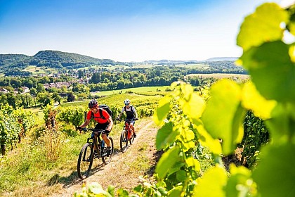 Echappée Jurassienne VTT - Étape 3 : Poligny - Perrigny