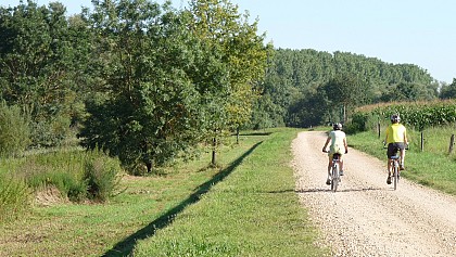 Circuit VTT à la découverte du Val de Saône