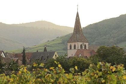 Beblenheim : Balades dans les vergers autour de Colmar