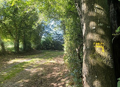 Randonnée à pied au pays d'Ouche la voie d'Auguaise