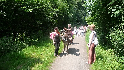 Sentier Emeraude (Ferrière-la-petite)