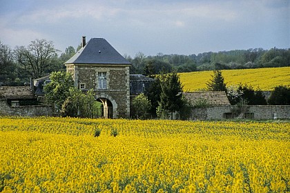 Cycling route - Follow the véloscénie