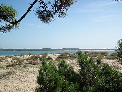 Boucle Sud sur l'île d'Oléron, Pointe de Gatseau et le Pertuis de Maumusson