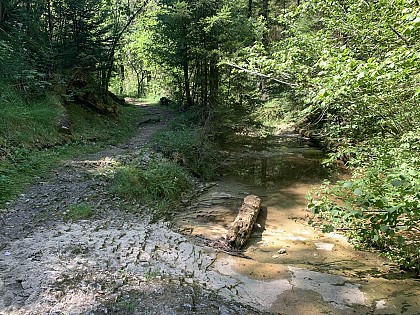 Randonnée - La vallée du Landeyron