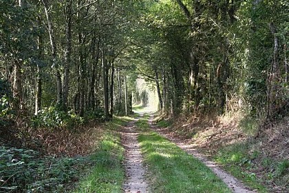 Les abbayes du Loir