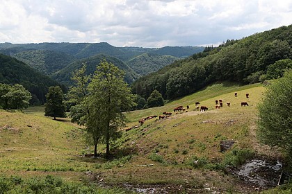 PR 4 - Le lac de Laroche
