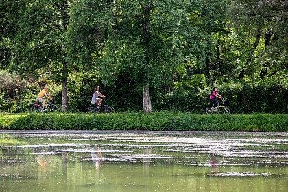 Entre Loire et forêt - Les Bertranges à vélo