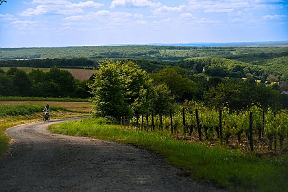 Fûts et Vignobles - Les Bertranges à vélo