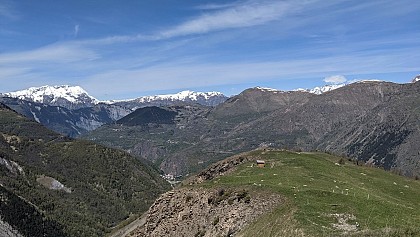 Trail - La Fée