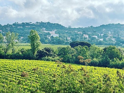 La Petite Suisse