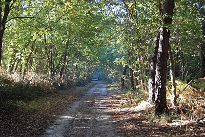 FERMÉ jusqu'au 31/10/2024 - A Saint-Julien-en-Born, circuit du Courant de Contis et de la Plaine de Sable Blanc