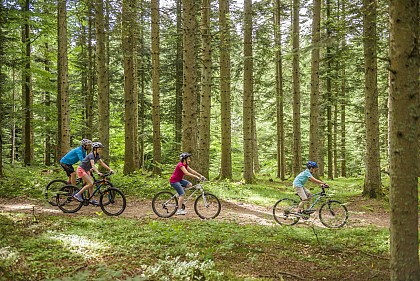 Circuit VTT N°2 Le Bois de Peybroussou