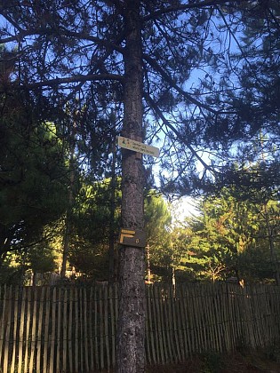 Sentier 1, 2, 3 Allons dans les bois - Pédestre