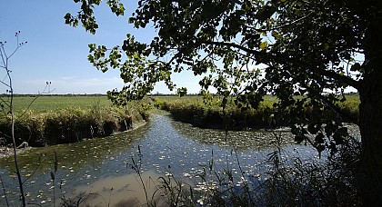 Boucle des Etiers - Cyclable