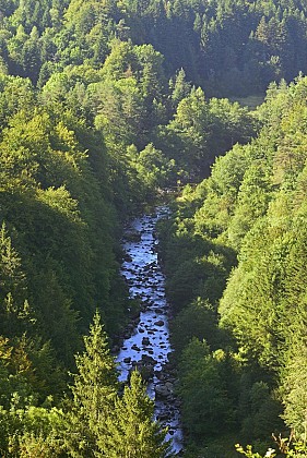Circuit Trail N°02 : Les Gorges du Lignon