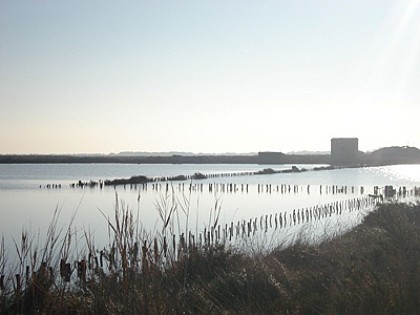 FRONTIGNAN, ETANGS ET ANCIENS SALINS